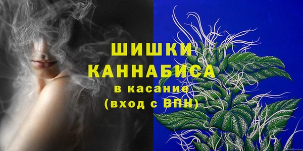 ПСИЛОЦИБИНОВЫЕ ГРИБЫ Нея