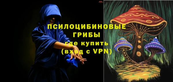 шишки Навашино