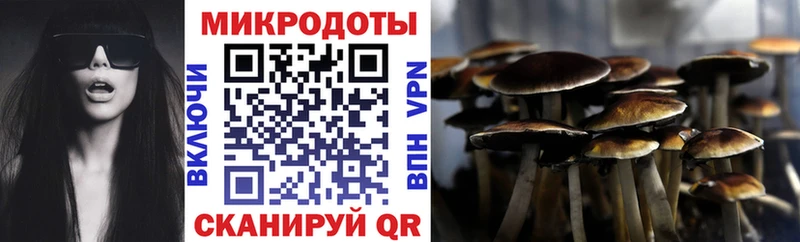 наркотики Сретенск Галлюциногенные грибы мицелий